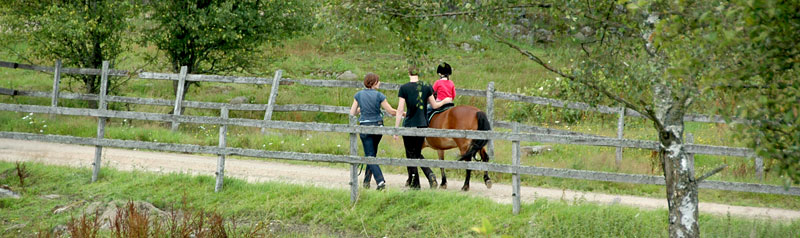 Ponnyridning